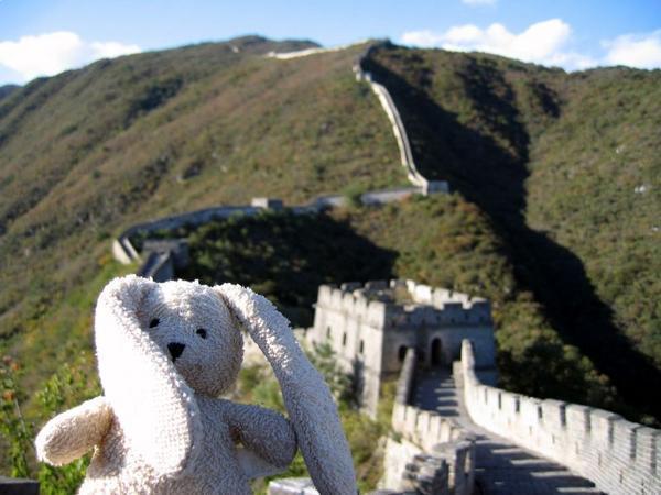 Bunny on the Great Wall