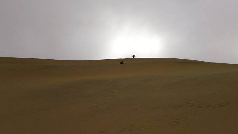 Shannon on the way down the "medium" sand dune!