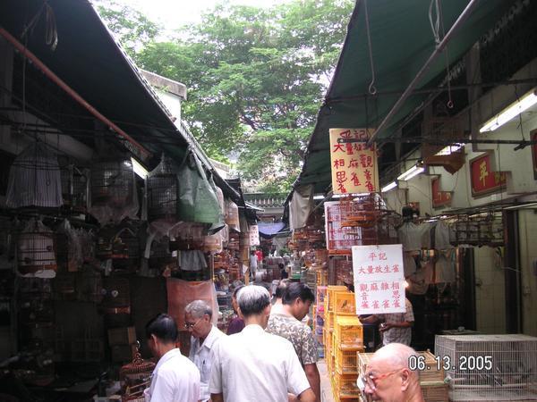 Yuen Po Street Bird Market