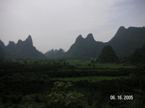 Lush landscape of Yangshuo