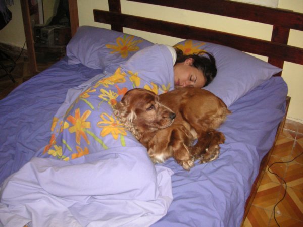 Tamar and Fudge in bed