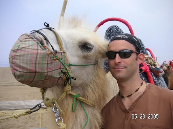 Me and the Camels of the Sand Dunes