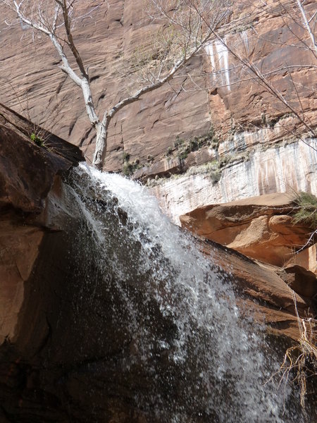 Zion waterfall to emerald pools