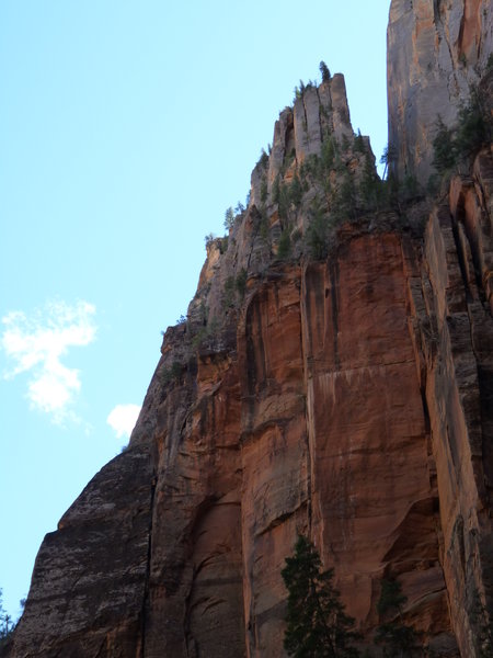 Zion towering above the happy snappers