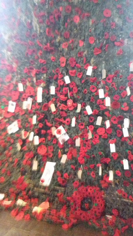 a cascade of knitted poppies 