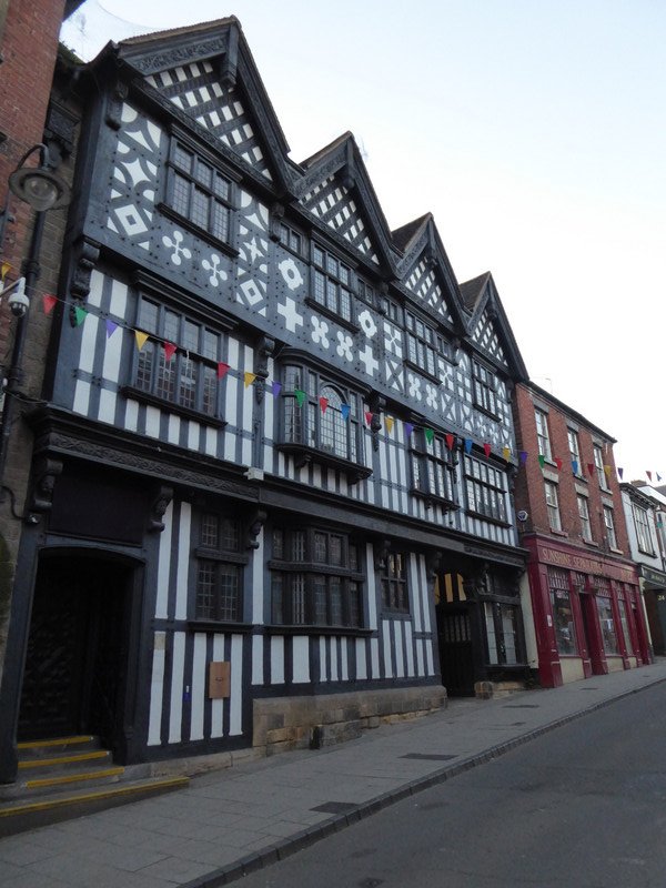 Black and white magpie buildings 