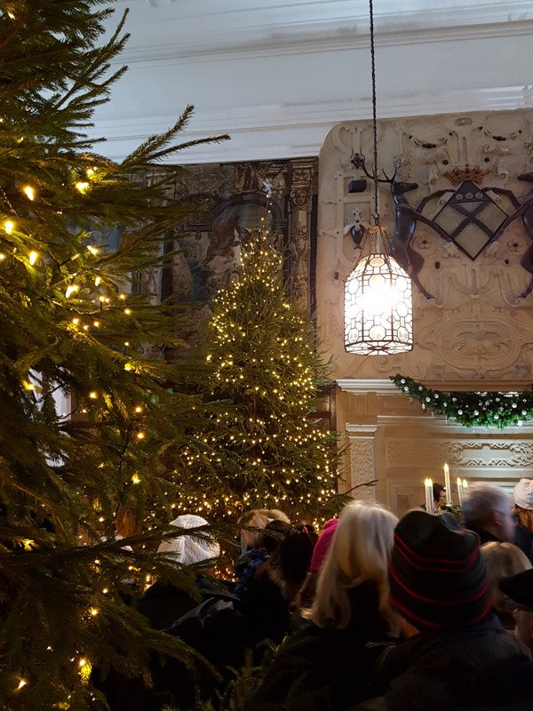 The hall and the Christmas tree 