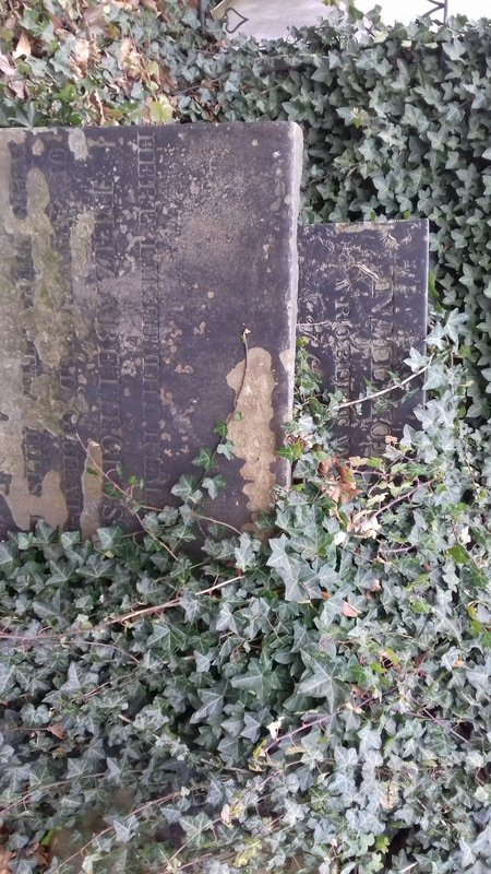 Tombstones in the graveyard 