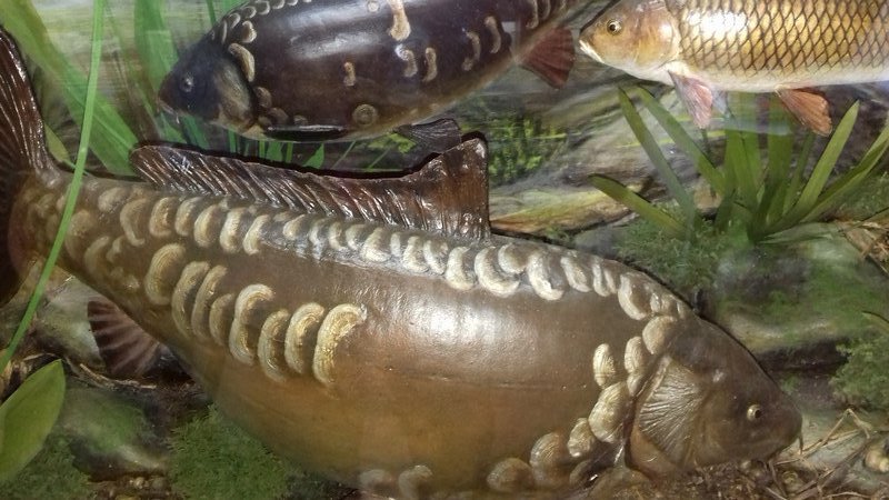 Rather large stuffed fishes 