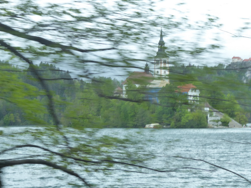 Lake Bled through the trees 