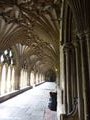 The cloisters 