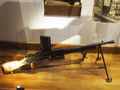 One of the many guns on display 