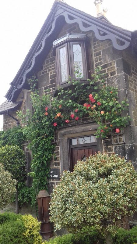 The climbing roses on the Lodge to the Hall 
