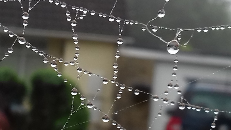 Even if you dont like spiders you have to admire their webs .