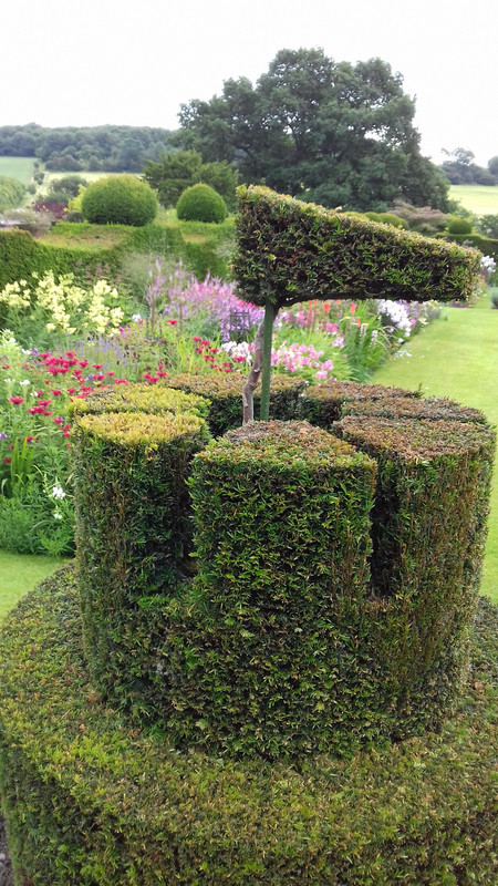 Topiary hedges 
