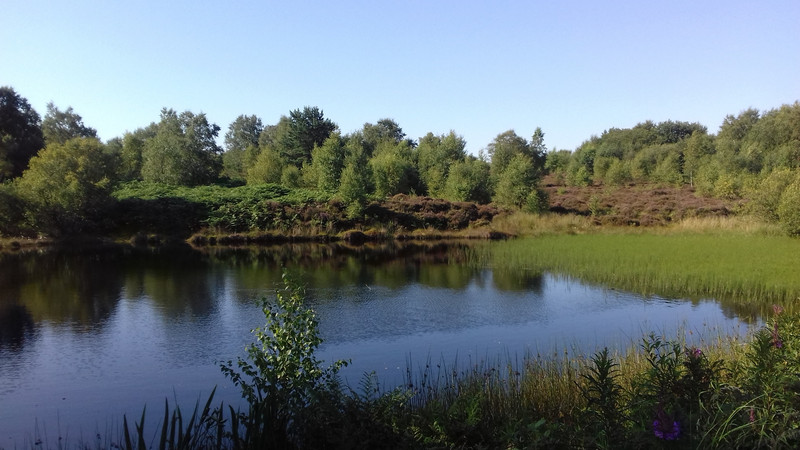 One of the four lakes that provided water for the ironworks 