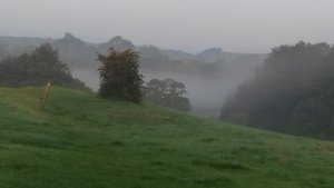 A misty surreal Autumn morning 