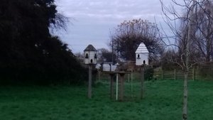 The village dovecotes