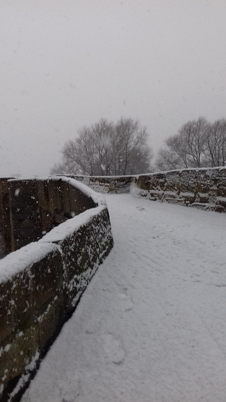 The bridge in the snow 