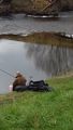 Fishing on the riverbank 