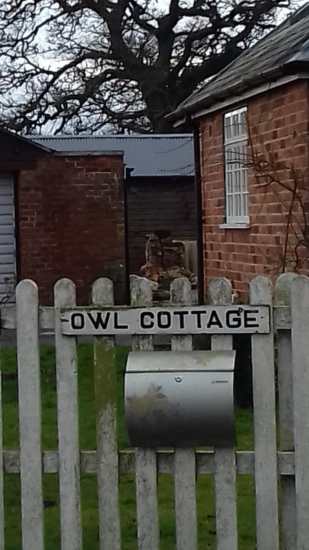 I wondered if they indeed did have owls
