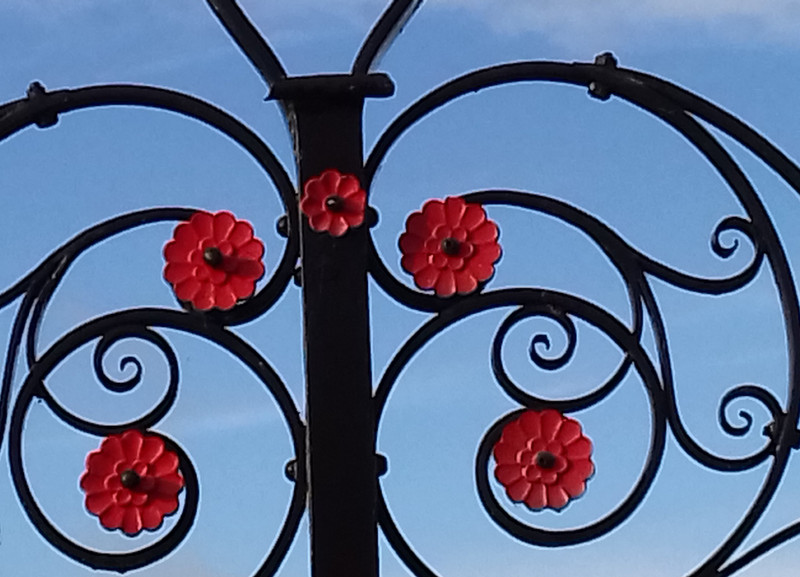 Red metal poppies 