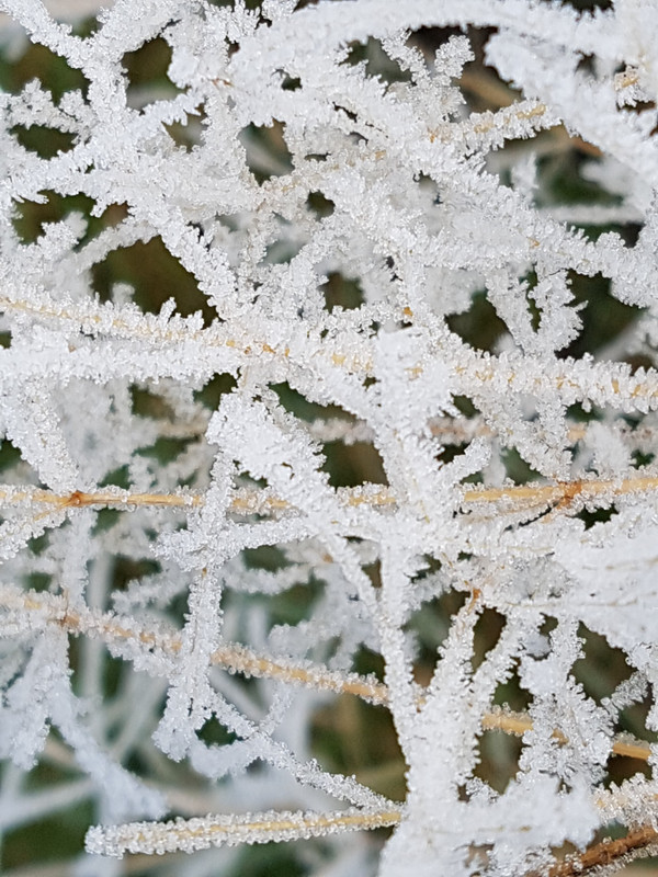 Jack Frost had been busy 