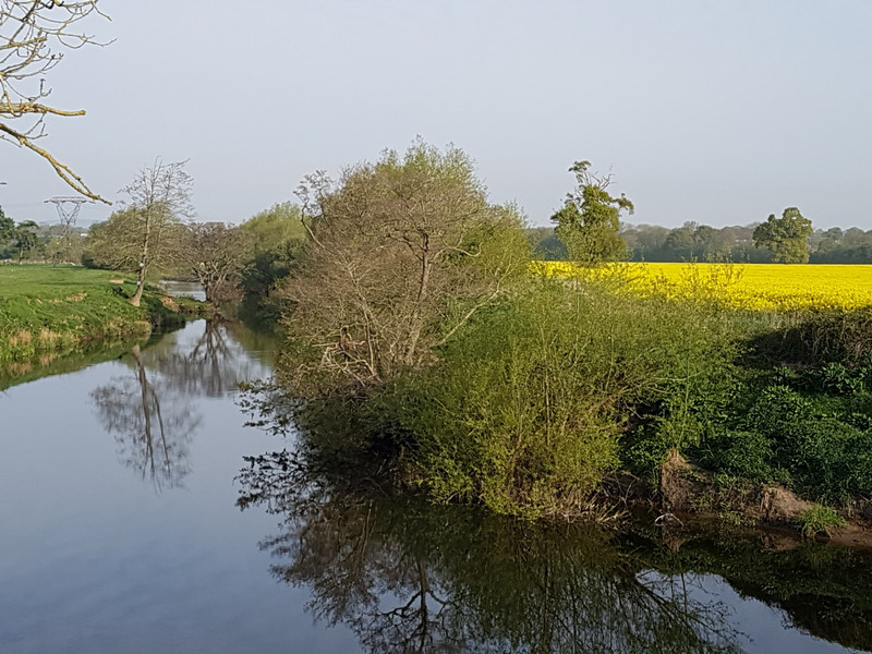 The river and its fields of oilseed rape 