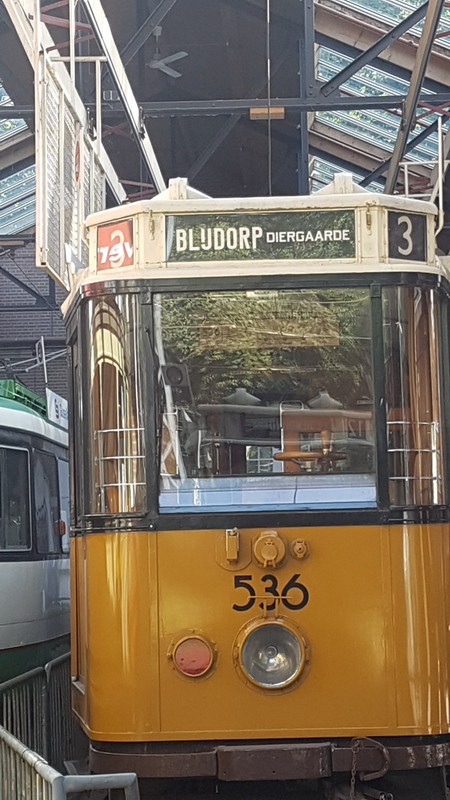 One of the trams 