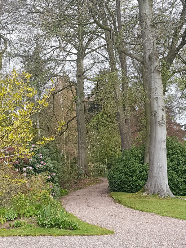One of the paths around Hodnet Hall Gardens