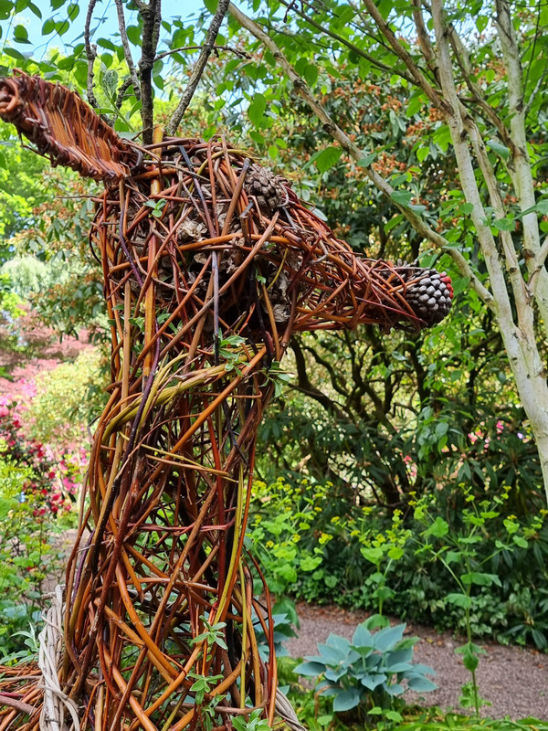 The willow horse 
