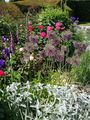 one of the colourful borders 