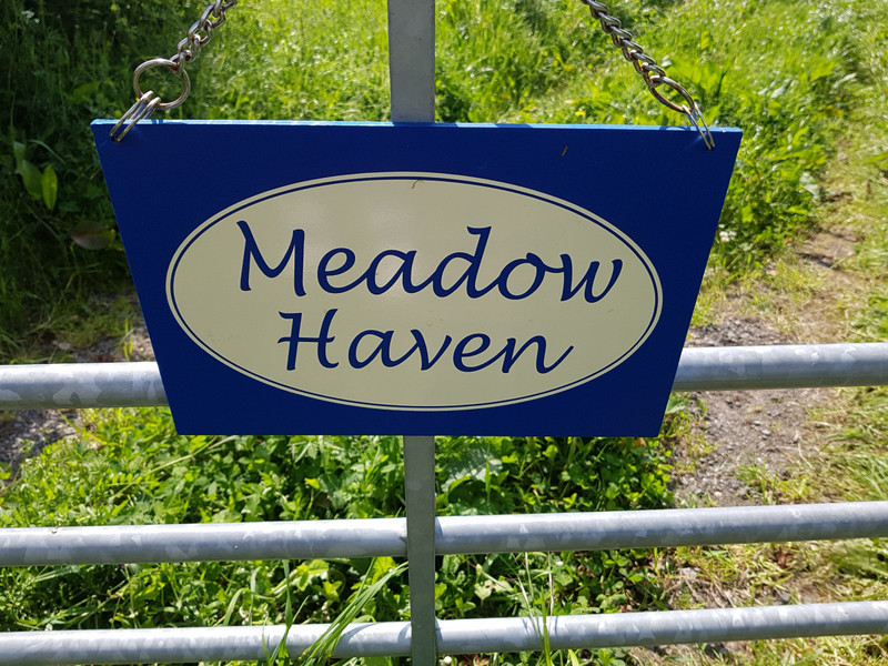 A sign of the times -  meadows left to return to native plantings 