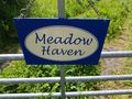 A sign of the times -  meadows left to return to native plantings 