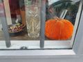 Pumpkins and conkers - a sign of Autumn for sure 