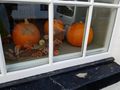 Pumpkins in the window 
