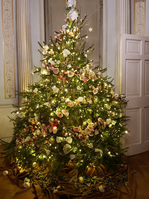 Decorated trees in the dining room 