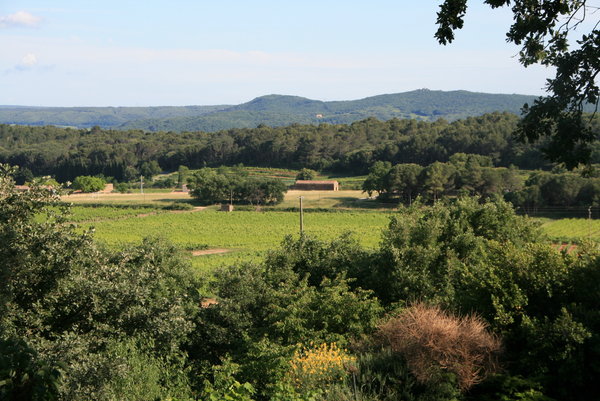 View over the valley 