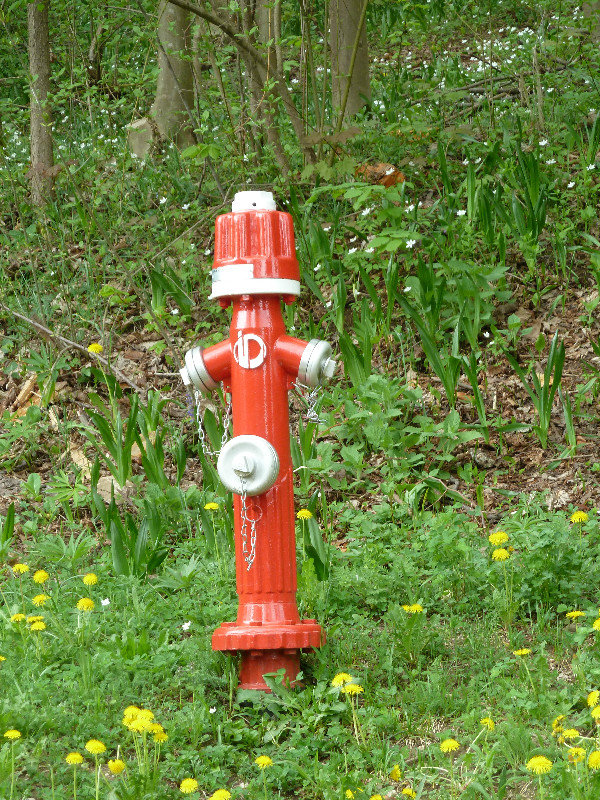 Firehydrant 