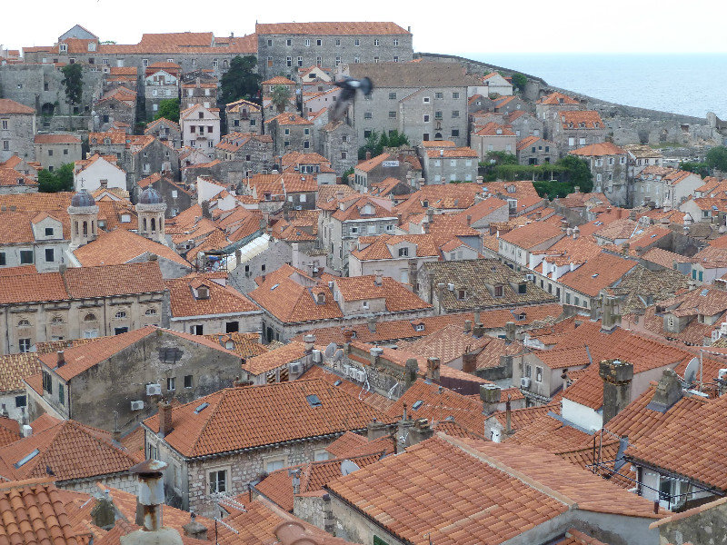 The city Dubrovnik from the walls 