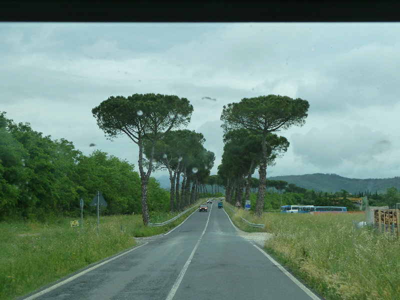 On the road to Cortona 