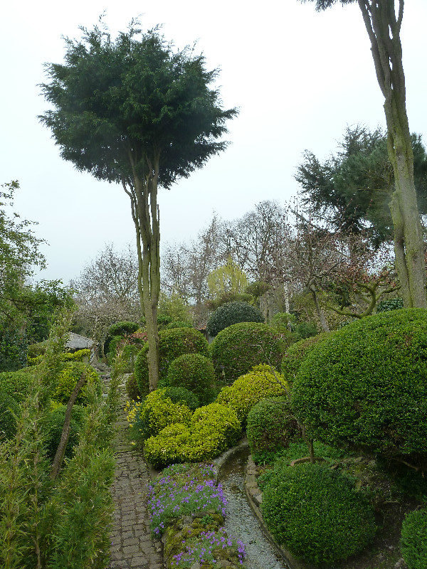 More trees in a topiary fashion 