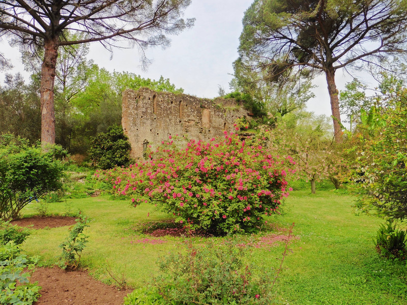 a tiny part of the garden 