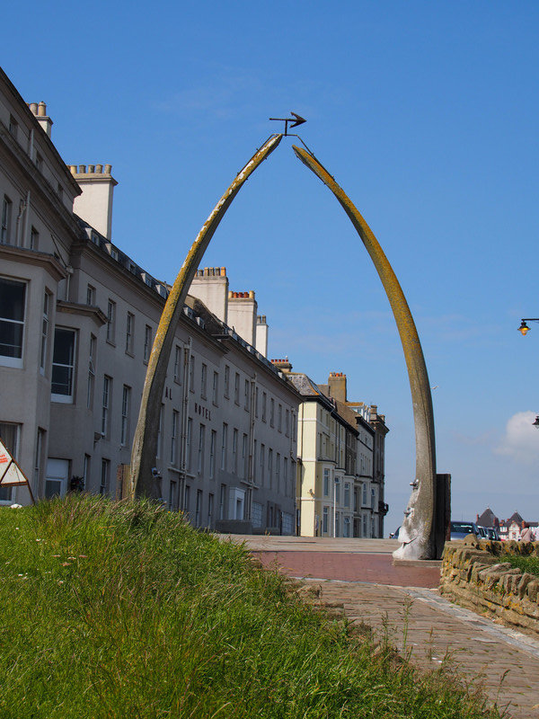The whale bone arch 