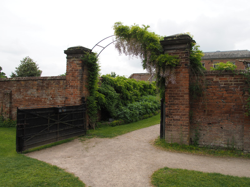 The walled garden with wisteria 