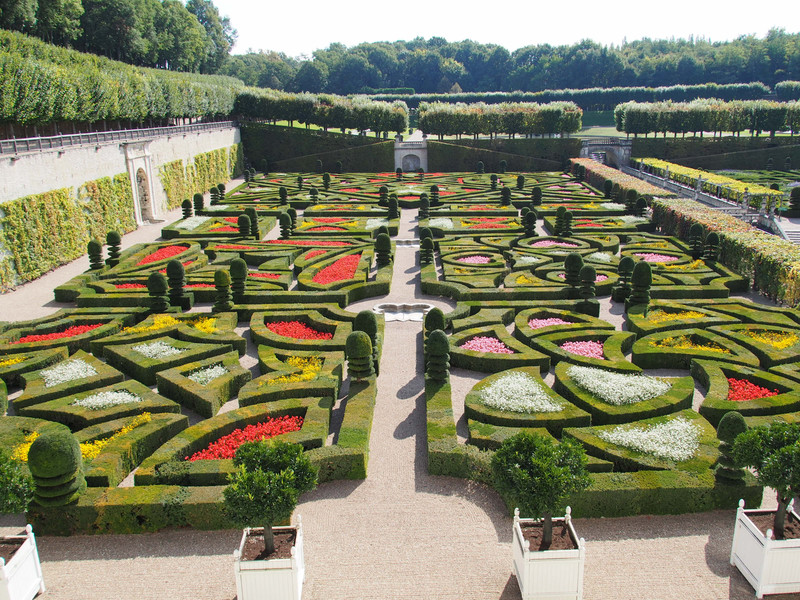 The box hedging and knot gardens 