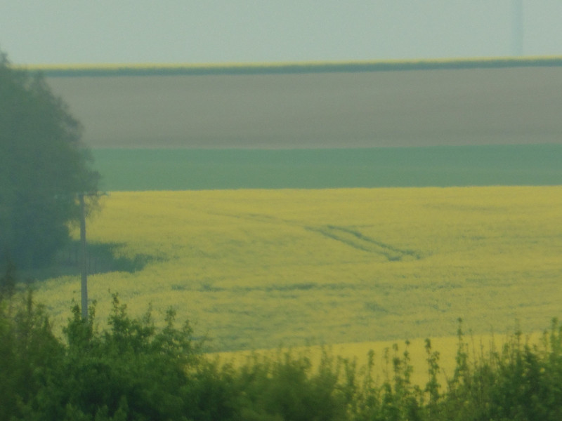 Rapeseed fields in Northern France 
