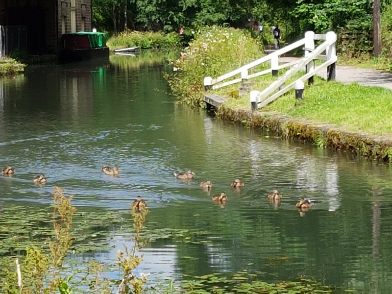 Cromford Canal 