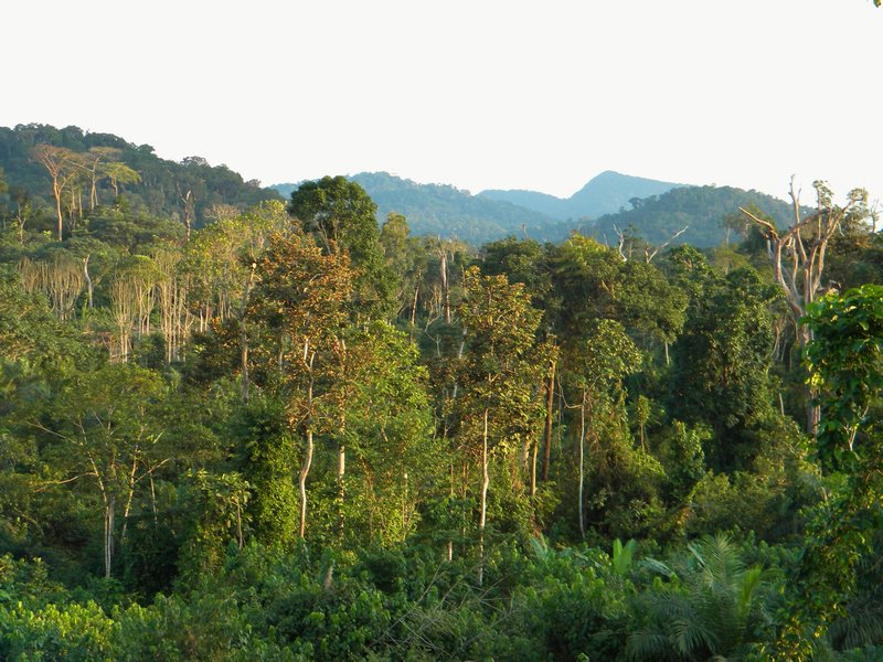 view in Ngok village
