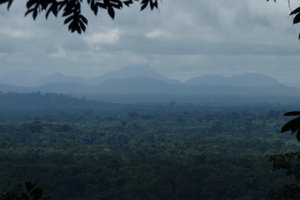 view towards Campo Ma'an national park